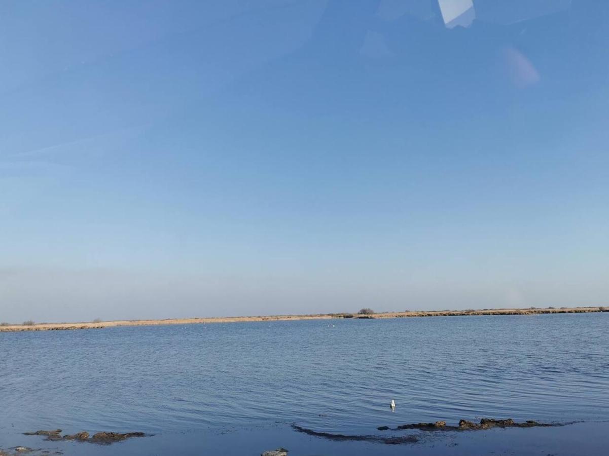 Plages De Camargue Et Logement Dans Un Site Calme De Reve Arles Exteriör bild