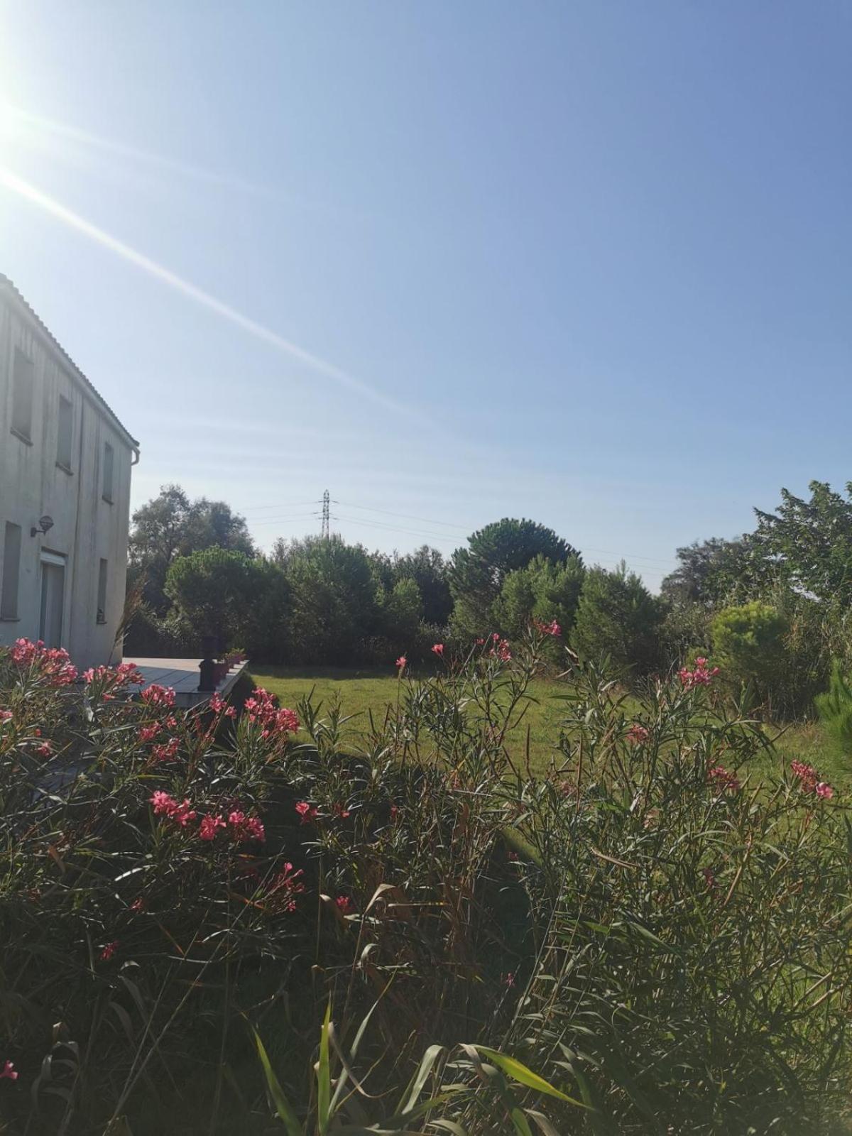 Plages De Camargue Et Logement Dans Un Site Calme De Reve Arles Exteriör bild