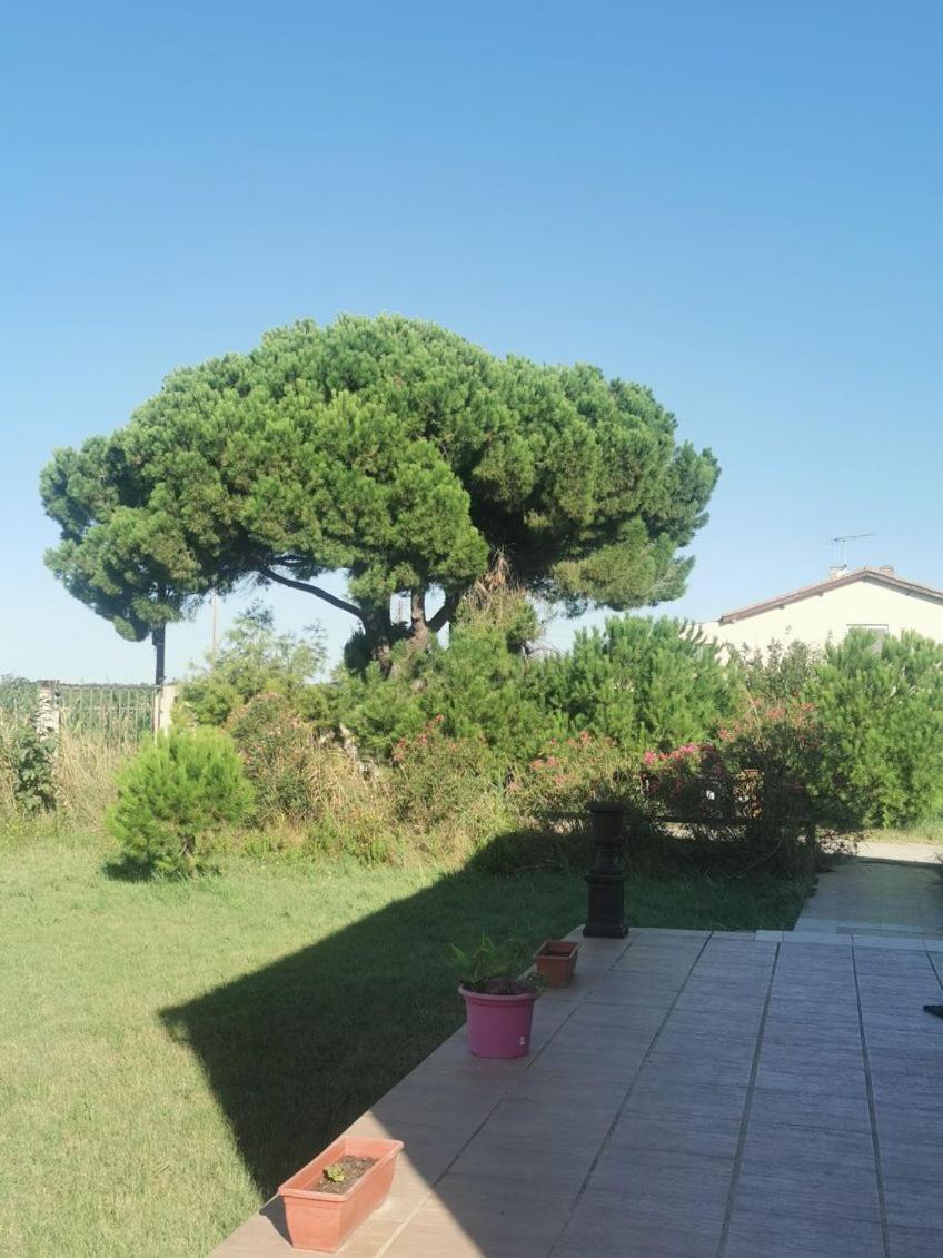 Plages De Camargue Et Logement Dans Un Site Calme De Reve Arles Exteriör bild